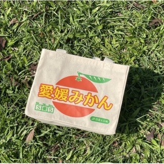 日本直送 手提袋 購物袋 便當袋 產地直送 水果袋 環保袋 橘子 蘋果 桃子 草莓 青森蘋果-細節圖3