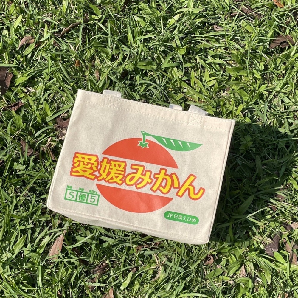 日本直送 手提袋 購物袋 便當袋 產地直送 水果袋 環保袋 橘子 蘋果 桃子 草莓 青森蘋果-細節圖8