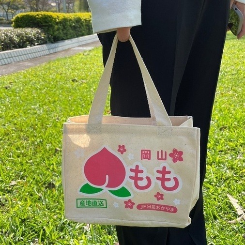 日本直送 手提袋 購物袋 便當袋 產地直送 水果袋 環保袋 橘子 蘋果 桃子 草莓 青森蘋果-細節圖9