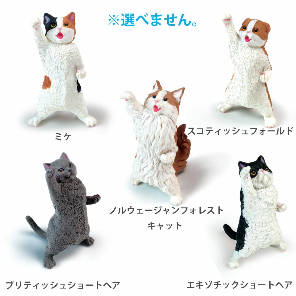 日本直送 歡呼吶喊的貓咪 加油吶喊 NYAoooo!! 貓咪公仔 貓咪扭蛋 盲盒 隨機出貨-細節圖2