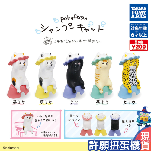【許願扭蛋機】『現貨』 pokefasu洗頭貓咪公仔 全5種 扭蛋 轉蛋 T-ARTS 貓 洗頭 洗澡 公仔