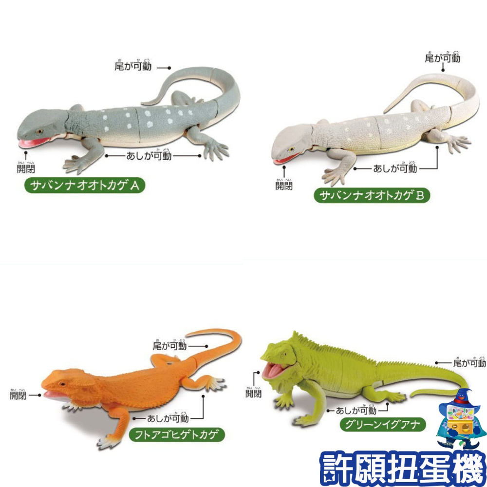 【許願扭蛋機】『現貨』 可動生物模型 巨大蜥蜴篇 全4種 扭蛋 轉蛋 T-ARTS 蜥蝪 可動 公仔-細節圖2
