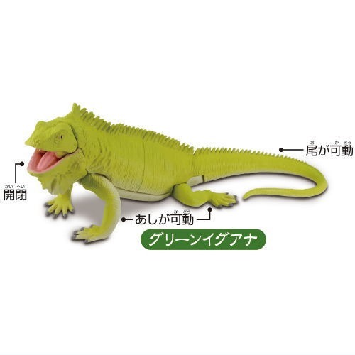 【許願扭蛋機】『現貨』 可動生物模型 巨大蜥蜴篇 全4種 扭蛋 轉蛋 T-ARTS 蜥蝪 可動 公仔-細節圖3
