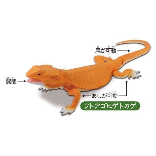 【許願扭蛋機】『現貨』 可動生物模型 巨大蜥蜴篇 全4種 扭蛋 轉蛋 T-ARTS 蜥蝪 可動 公仔-細節圖4