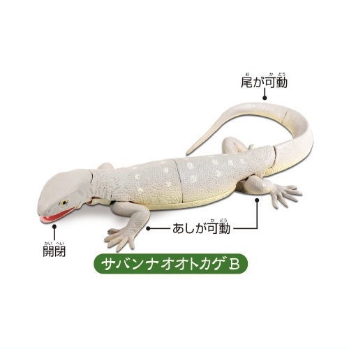 【許願扭蛋機】『現貨』 可動生物模型 巨大蜥蜴篇 全4種 扭蛋 轉蛋 T-ARTS 蜥蝪 可動 公仔-細節圖5