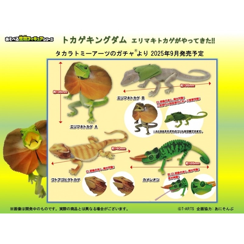 『現貨』 可動生物模型 蜥蜴王國 傘蜥蜴來了 全4種 扭蛋 轉蛋 蜥蝪 公仔 【許願扭蛋機】-細節圖2