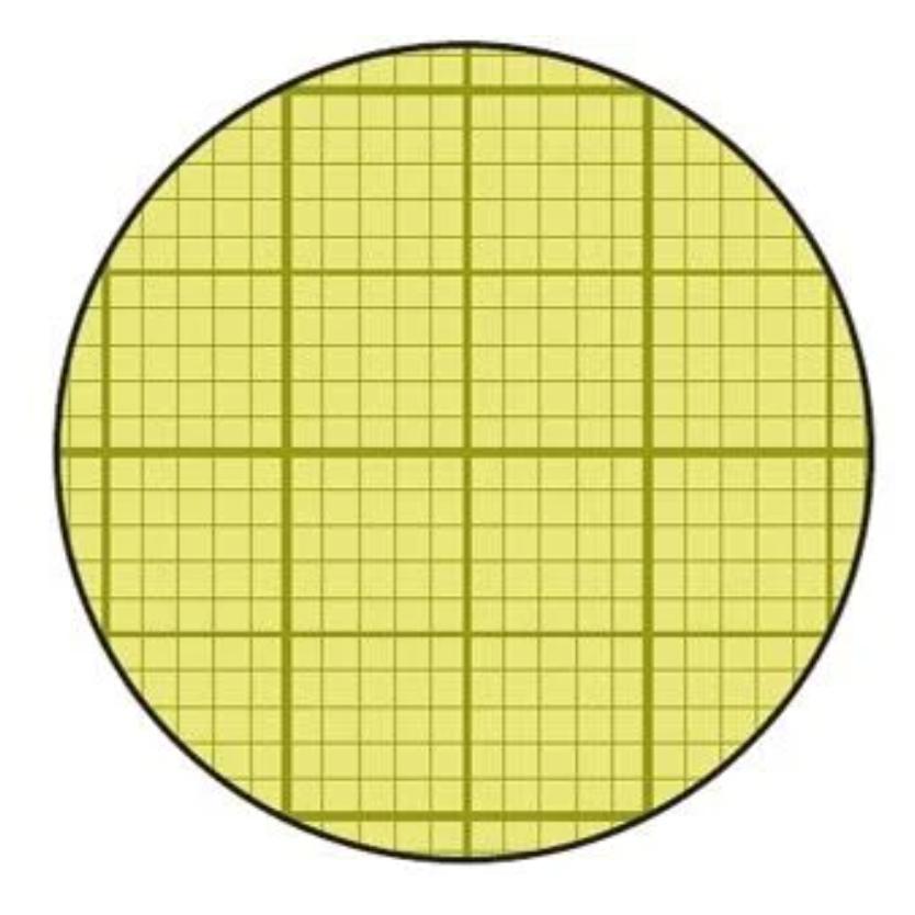四驅車- 田宮 87129 模型遮蓋專用膠帶紙 5入 (1mm方格)-細節圖2