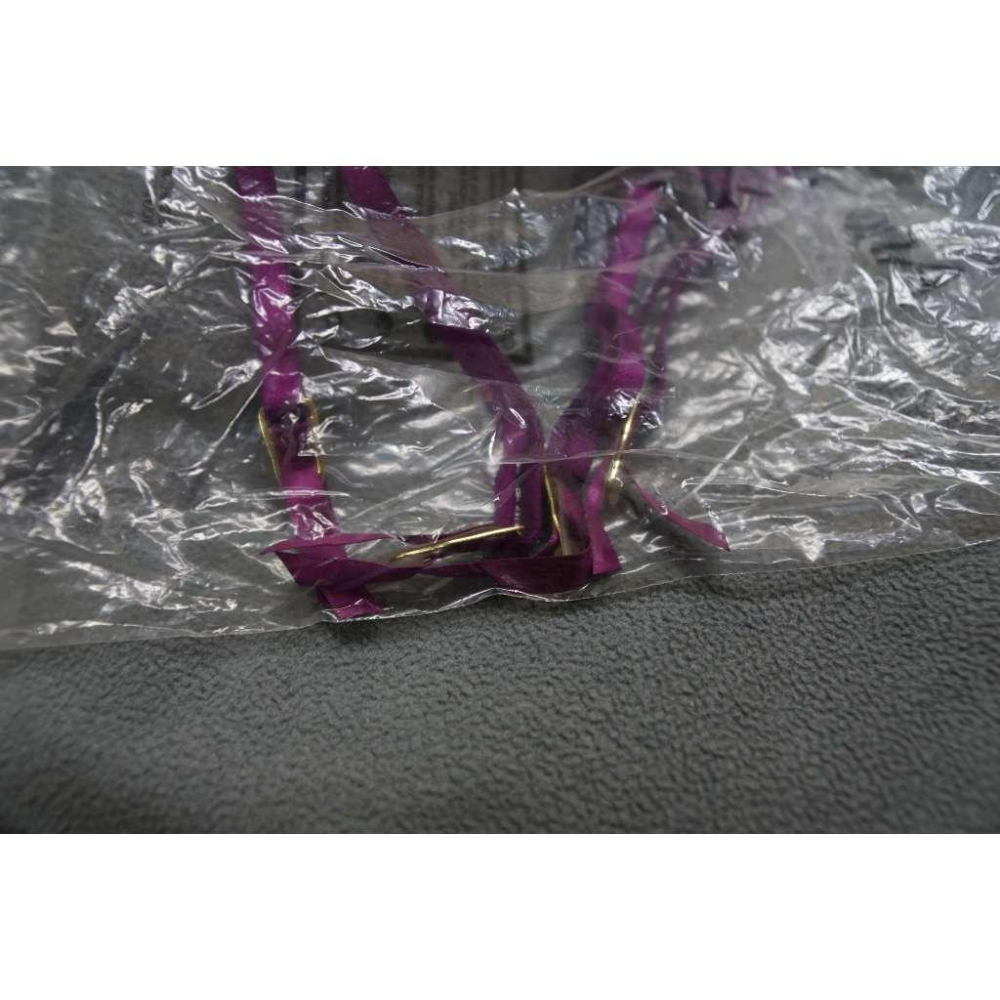 英國知名品牌 ANN SUMMERS 吊襪帶 紫色 蕾絲 性感 SIZE XS(亞洲的S-M)-細節圖2