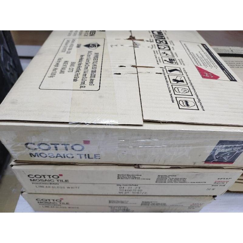 進口牆壁磁磚 cotto mosaic tile 白色 磁磚 每片14.5x2.5公分-細節圖2