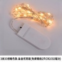 LED燈串 銅線燈 送電池  1米2米 彩色暖白 鈕扣電池 閃爍燈 串燈 花束 裝飾 布置 小燈-規格圖11