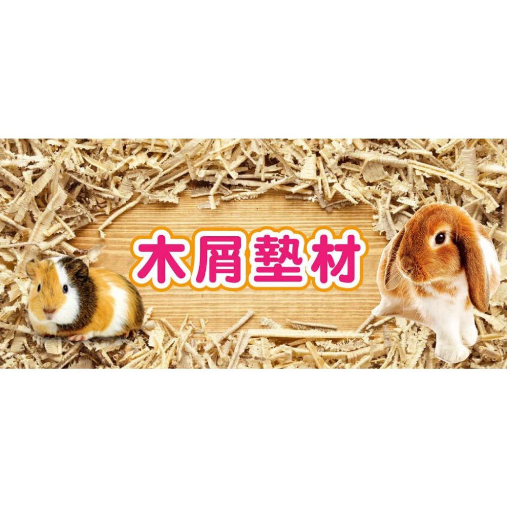 jolly白楊木屑 MS.PET木屑 消臭木屑 白楊木片 消臭木片 倉鼠木屑 兔子木屑 倉鼠墊料 鼠用木屑 小寵物木屑-細節圖2