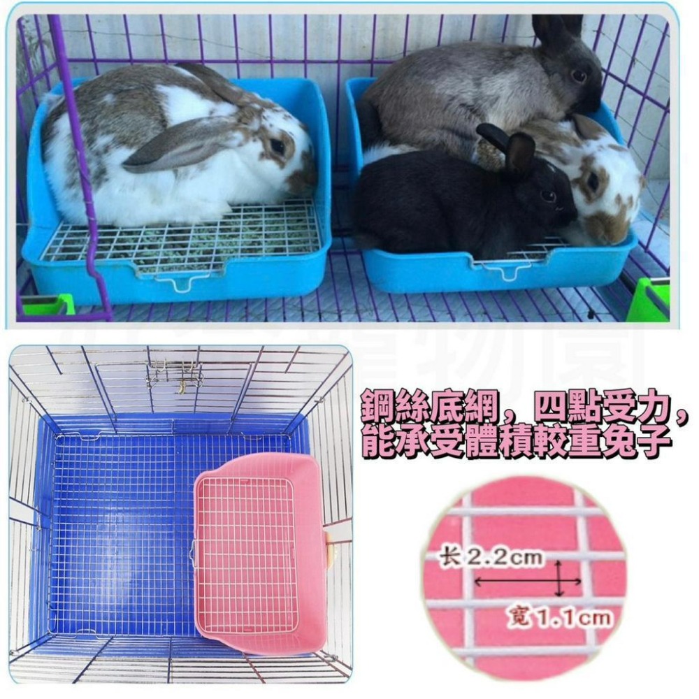 兔子便盆『底部加高』高護邊 防噴濺 防噴尿 兔子尿盆 便盆 寵物便盆 兔尿盆 兔廁所 加高便盆 好命寵物園-細節圖5