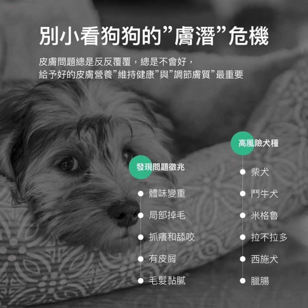 木入森『膚立好』犬用 皮膚＋毛髮 增進狗狗皮膚健康 異位性皮膚炎機能營養複方 寵物皮膚保養 寵物皮膚保健食品 好命寵物園-細節圖2