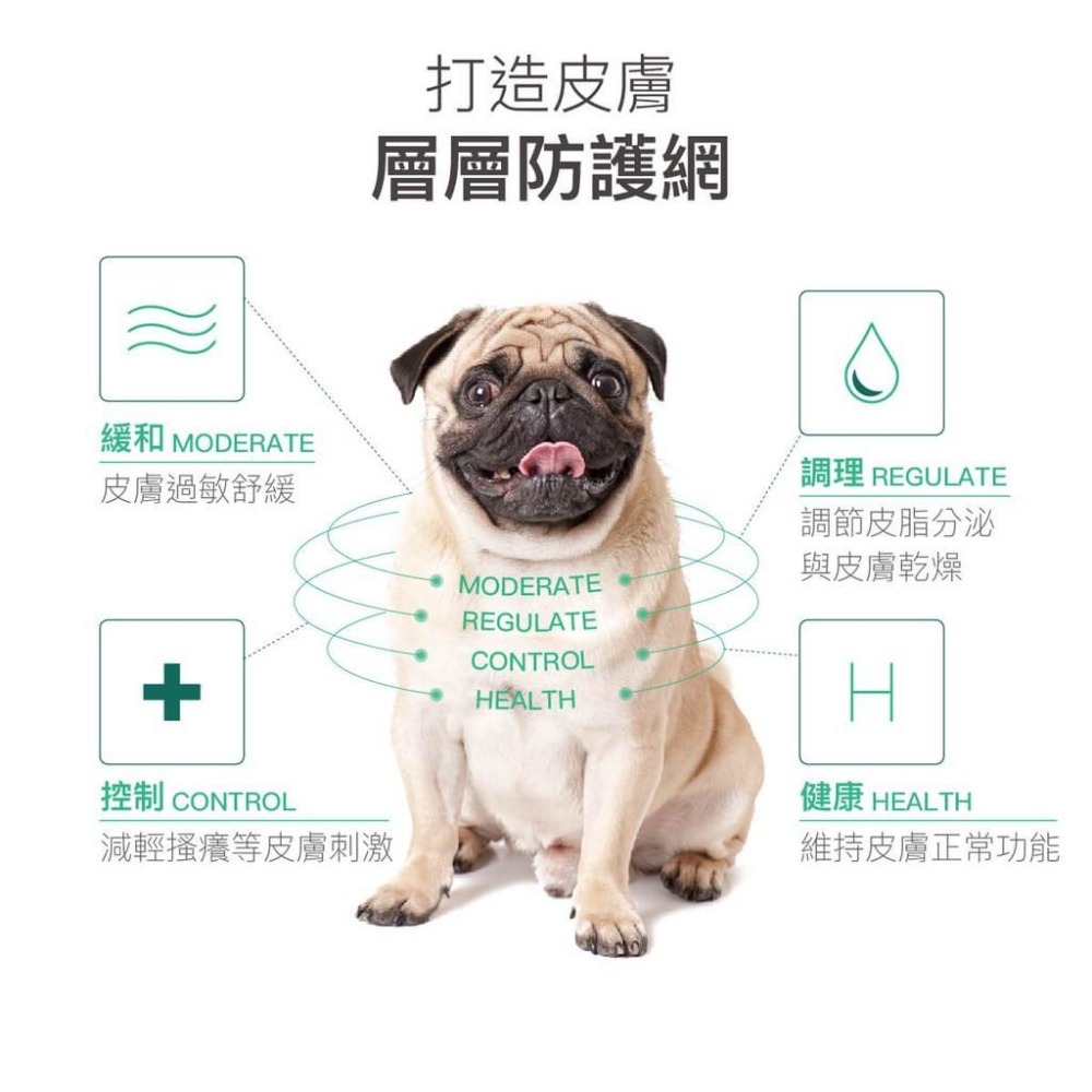 木入森『膚立好』犬用 皮膚＋毛髮 增進狗狗皮膚健康 異位性皮膚炎機能營養複方 寵物皮膚保養 寵物皮膚保健食品 好命寵物園-細節圖4