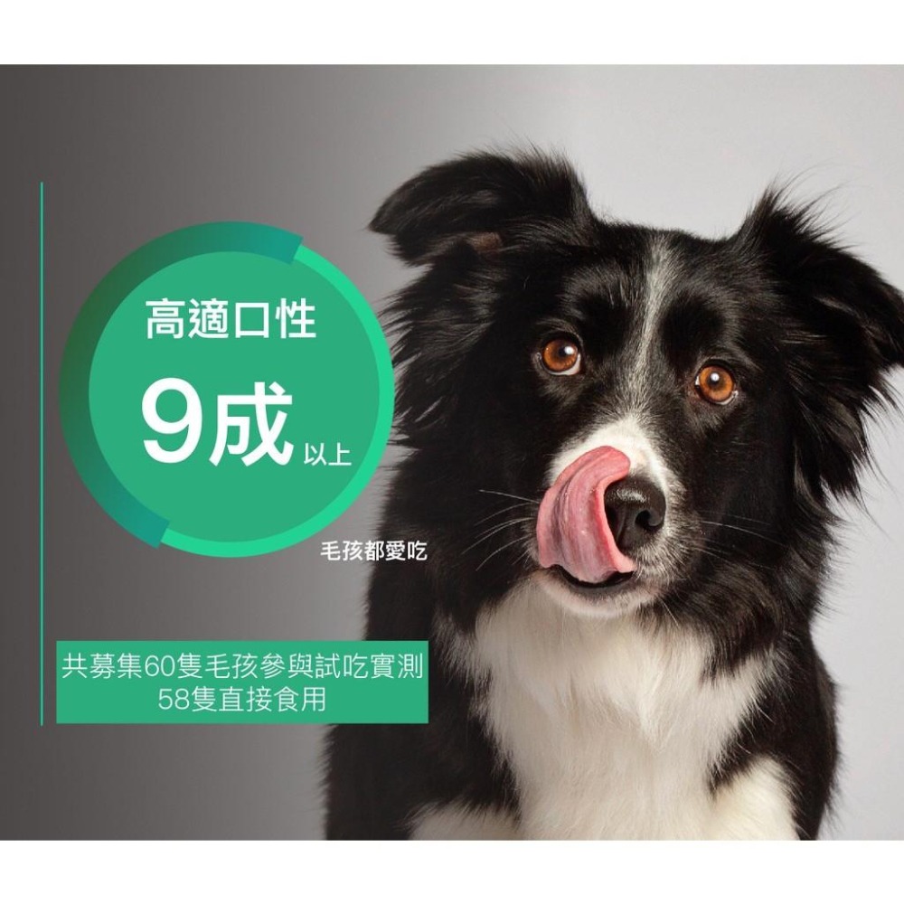 木入森『膚立好』犬用 皮膚＋毛髮 增進狗狗皮膚健康 異位性皮膚炎機能營養複方 寵物皮膚保養 寵物皮膚保健食品 好命寵物園-細節圖7