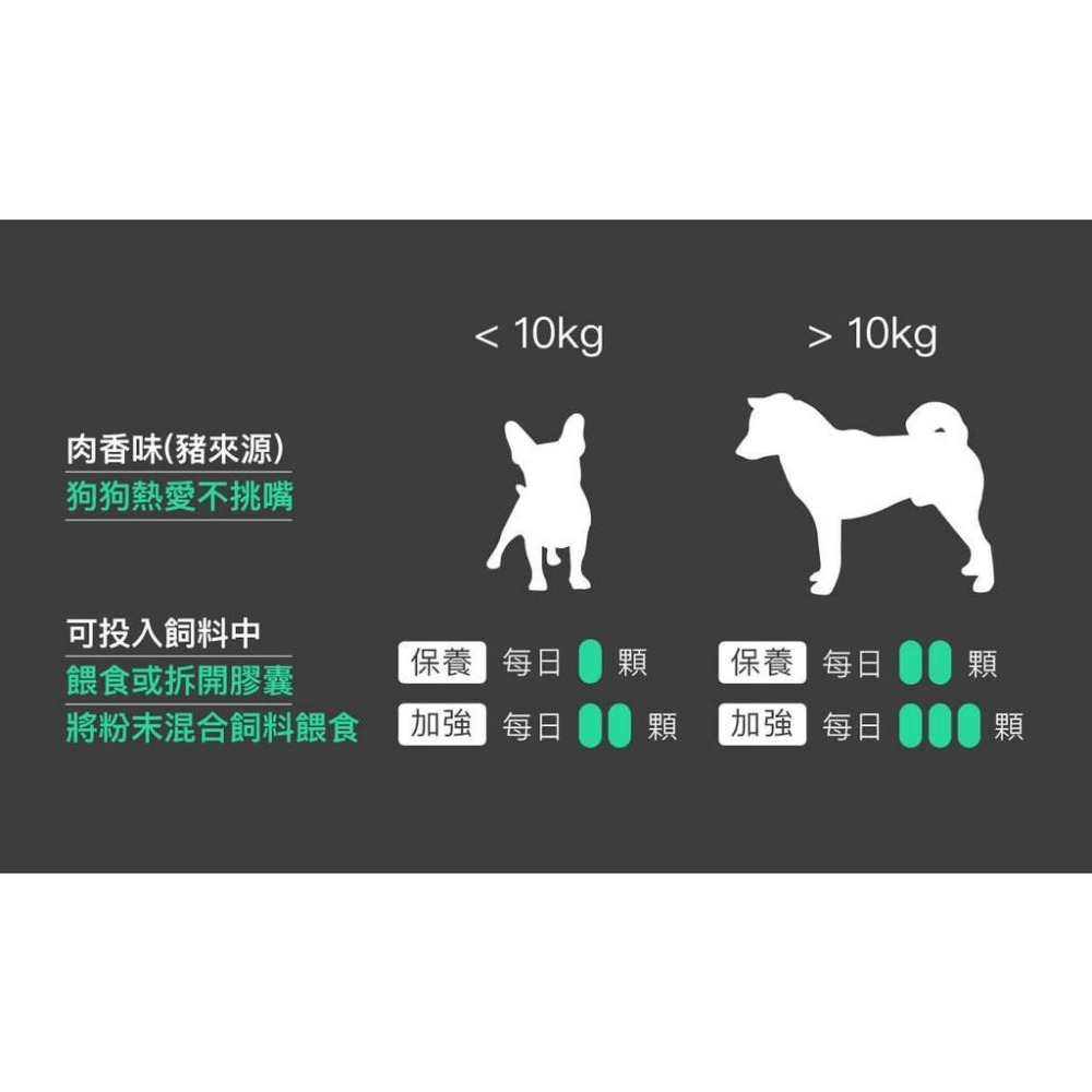 木入森『膚立好』犬用 皮膚＋毛髮 增進狗狗皮膚健康 異位性皮膚炎機能營養複方 寵物皮膚保養 寵物皮膚保健食品 好命寵物園-細節圖8