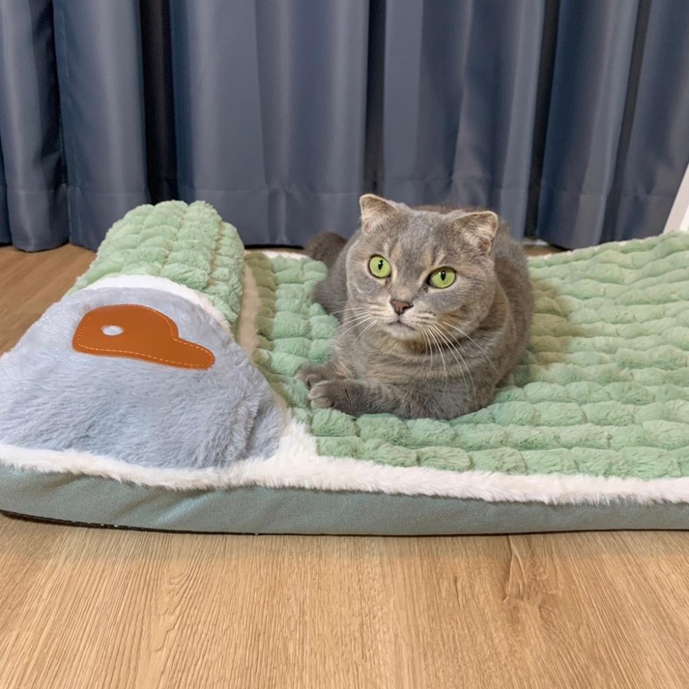 😸保暖寵物記憶床墊 可拆洗 狗狗床 狗墊 寵物窩 寵物墊 寵物屋 寵物床 狗窩 貓窩 寵物睡墊 寵物飛行床 好命寵物園-細節圖7