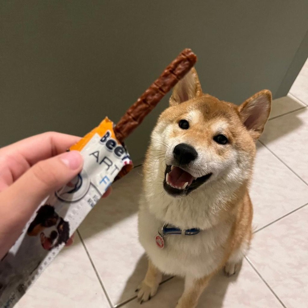 德國vitakraft『純肉零食』好棒棒 狗肉條 狗零食 牛肉條 犬零食 狗肉乾 方便包 寵物零食 牛肉一口咬 狗主食-細節圖6