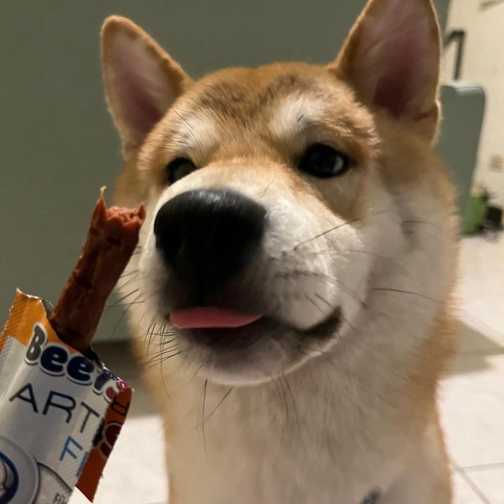 德國vitakraft『純肉零食』好棒棒 狗肉條 狗零食 牛肉條 犬零食 狗肉乾 方便包 寵物零食 牛肉一口咬 狗主食-細節圖7