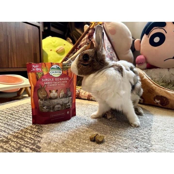 美國OXBOW 零食系列 美味輕食 牧草烘焙零食 小寵零食 倉鼠/天竺鼠/兔/小動物零食點心 磨牙草餅 飼料 好命寵物園-細節圖2