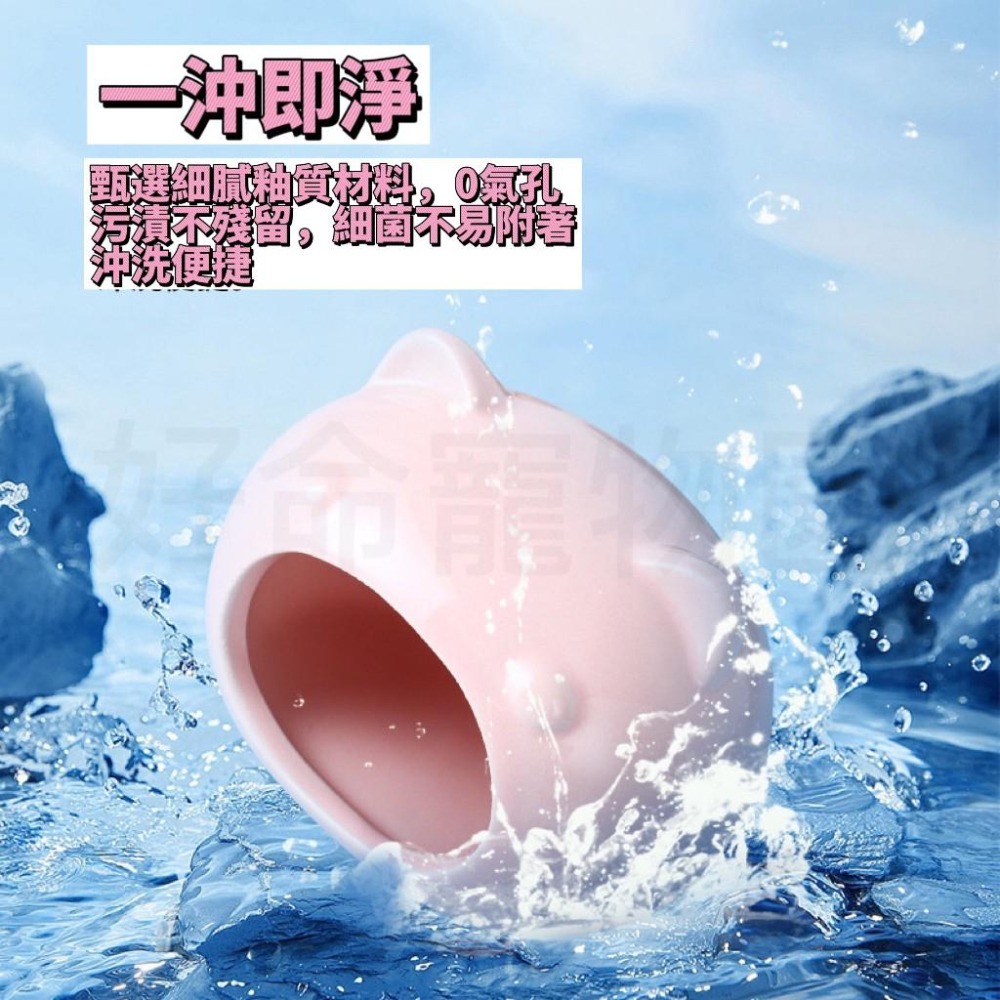 陶瓷倉鼠窩『防翻防滑』陶瓷窩 快速降溫 倉鼠窩 倉鼠降溫屋 倉鼠小屋 倉鼠屋 倉鼠睡窩 小寵窩 鼠窩 鼠屋 好命寵物園-細節圖3