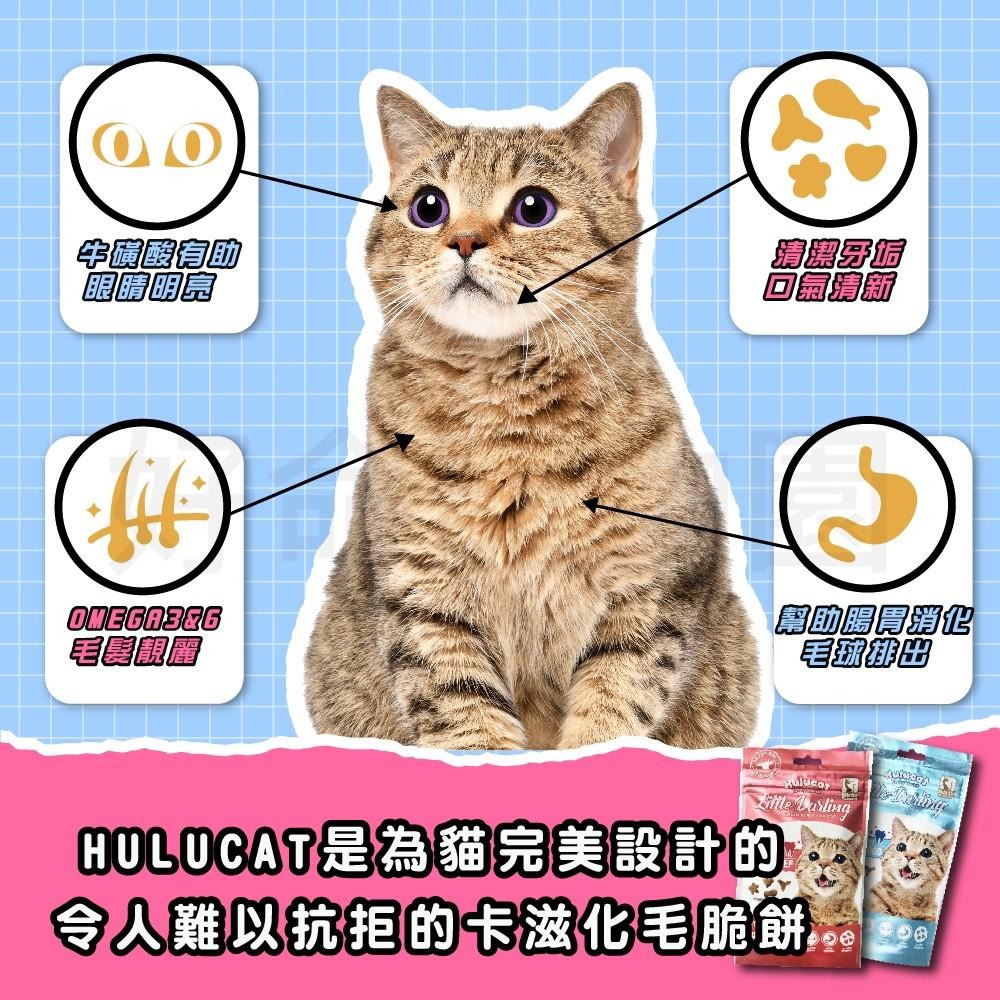 HULU CAT『卡滋化毛潔牙餅』60g 貓餅乾 潔牙餅 貓潔牙餅 化毛餅 貓咪零食 貓咪潔牙餅乾 貓零食 好命寵物園-細節圖3