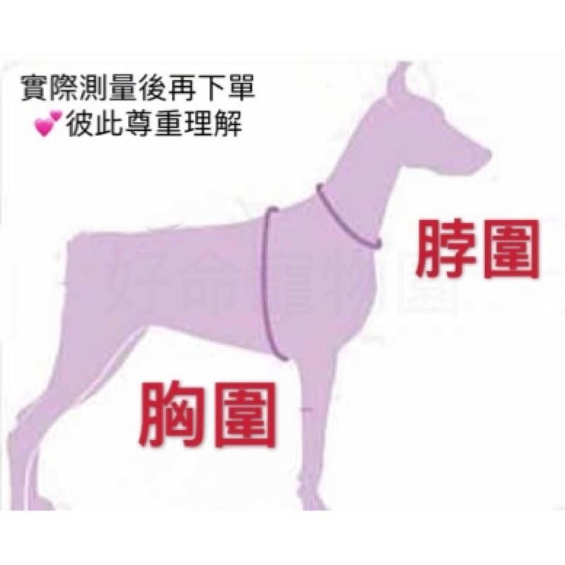 寵物防舔圈『硬式』伊莉莎白頸圈 伊莉莎白圈 伊麗莎白頭套 寵物頭套 羞恥圈 防舔圈 防咬圈 狗狗頭套 防舔頭套 好命寵物-細節圖4