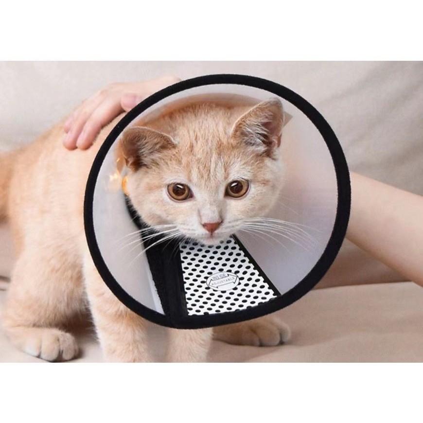 寵物防舔圈『硬式』伊莉莎白頸圈 伊莉莎白圈 伊麗莎白頭套 寵物頭套 羞恥圈 防舔圈 防咬圈 狗狗頭套 防舔頭套 好命寵物-細節圖5