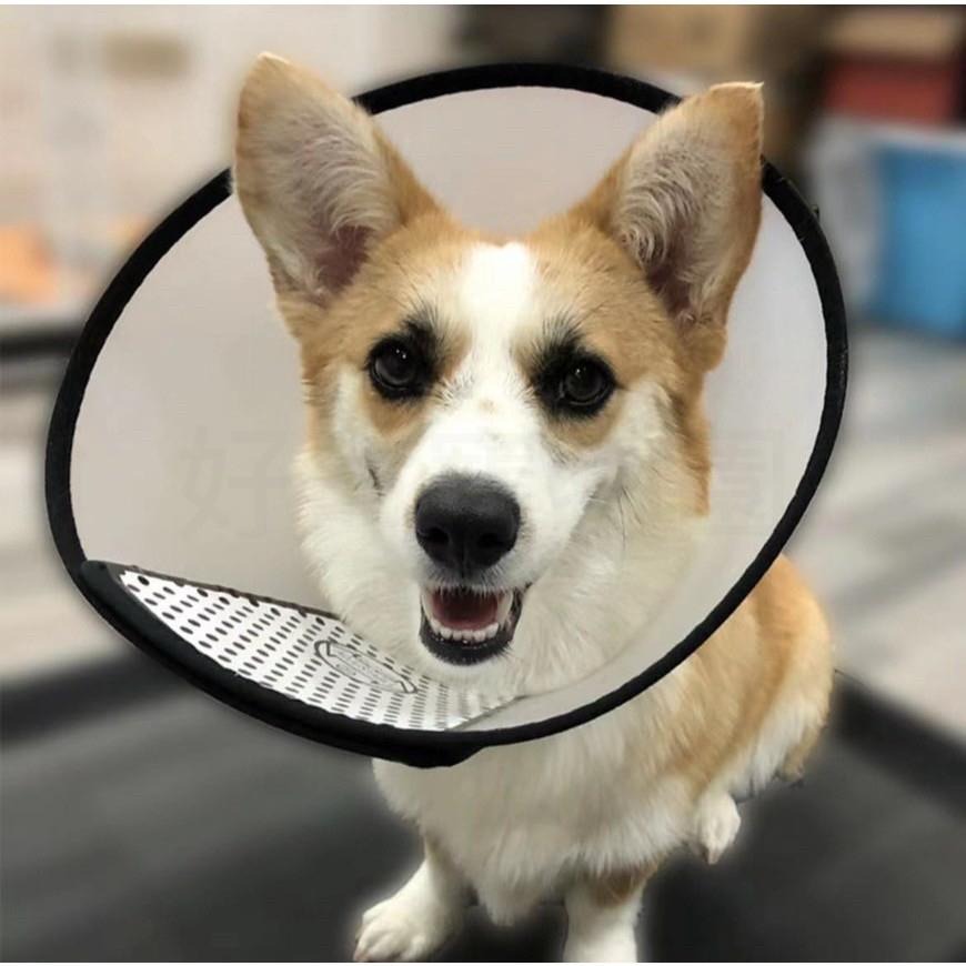 寵物防舔圈『硬式』伊莉莎白頸圈 伊莉莎白圈 伊麗莎白頭套 寵物頭套 羞恥圈 防舔圈 防咬圈 狗狗頭套 防舔頭套 好命寵物-細節圖7