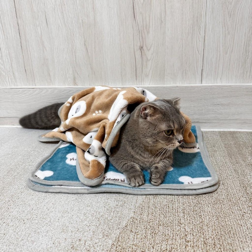 😸寵物法蘭絨毯子 狗窩 狗床 寵物床 寵物毛毯 寵物睡毯 寵物毯子 寵物被子 寵物窩 寵物睡窩 寵物毯 毛毯 好命寵物園-細節圖7