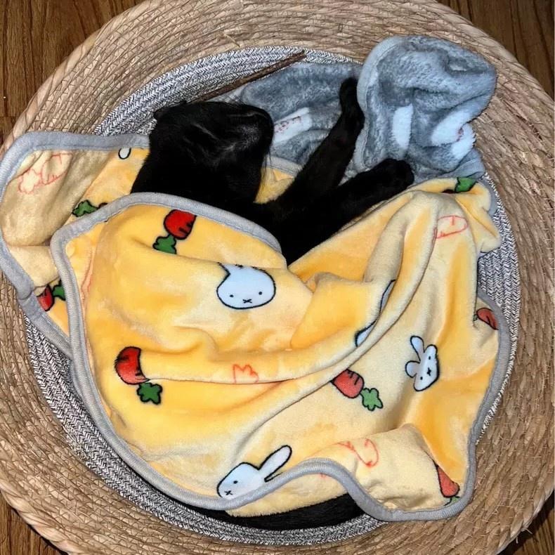 😸寵物法蘭絨毯子 狗窩 狗床 寵物床 寵物毛毯 寵物睡毯 寵物毯子 寵物被子 寵物窩 寵物睡窩 寵物毯 毛毯 好命寵物園-細節圖8