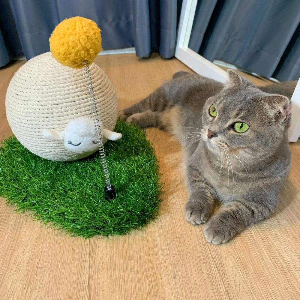 😸實木＋劍麻立式耐磨貓抓球 耐磨貓抓板 貓咪磨爪 不掉屑 劍麻繩貓抓球 貓玩具 貓爬架 貓跳台 貓咪玩具 好命寵物園-細節圖7