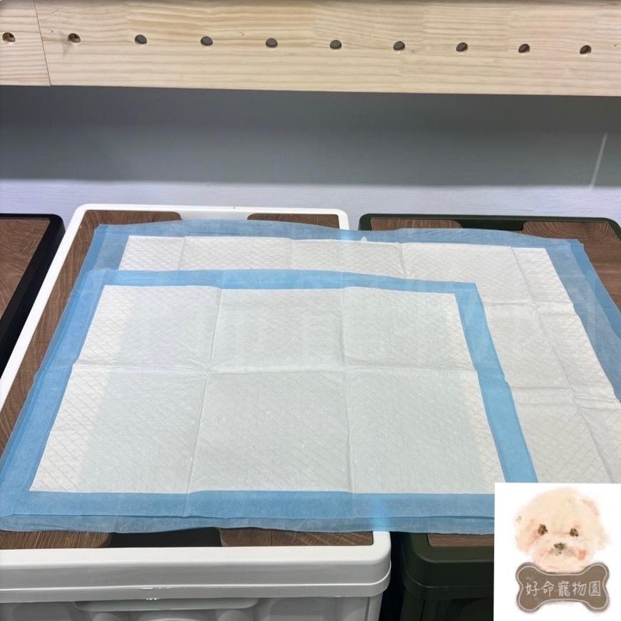 😸寵物尿墊（經濟輕薄型）寵物尿布墊 尿片 狗尿墊 外出籠尿墊 尿盆尿墊 籠子尿墊 寵物廁所 外出尿布墊 好命寵物園-細節圖2