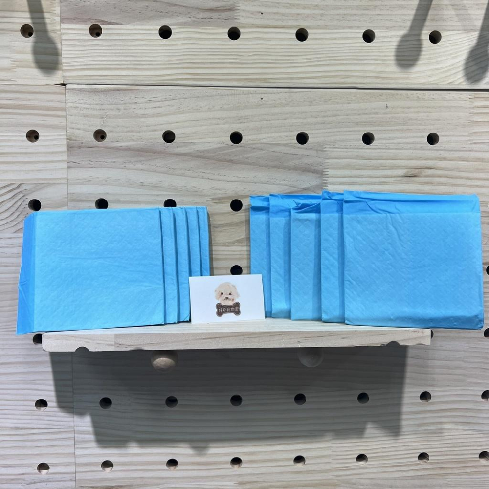 😸寵物尿墊（經濟輕薄型）寵物尿布墊 尿片 狗尿墊 外出籠尿墊 尿盆尿墊 籠子尿墊 寵物廁所 外出尿布墊 好命寵物園-細節圖3