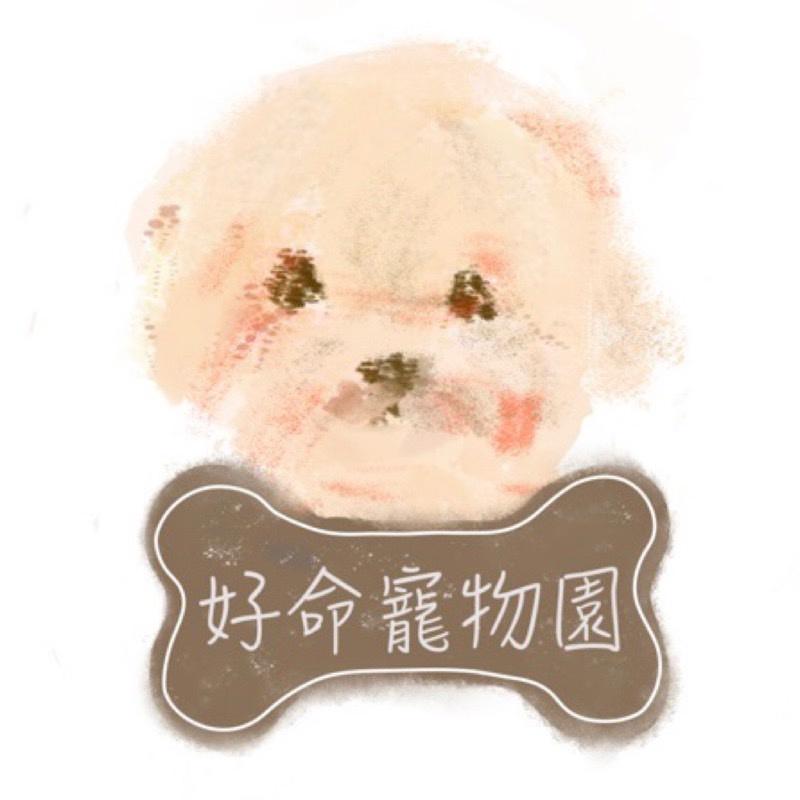 😸寵物尿墊（經濟輕薄型）寵物尿布墊 尿片 狗尿墊 外出籠尿墊 尿盆尿墊 籠子尿墊 寵物廁所 外出尿布墊 好命寵物園-細節圖5