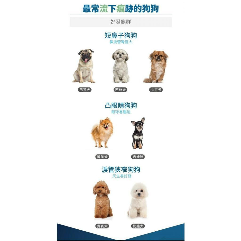 木入森『痕淨白』眼睛＋免疫力 犬用/貓用 去除淚痕 寵物眼睛保養 寵物去除淚痕 好命寵物園-細節圖3
