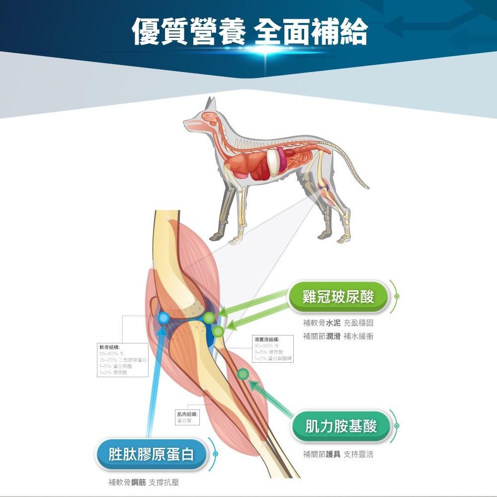 木入森『有關膝』關節＋肌力 關節保健 寵物關節保健 胜肽膠原蛋白 玻尿酸 薑黃萃取 肌力配方 狗護關節 貓護關節 好命寵-細節圖9