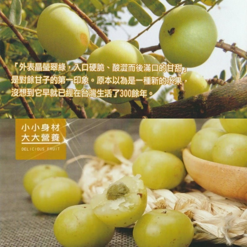 【0819shop】公司授權網路販售 油甘聖果100%原粉(100g/瓶)，多件特價↘可混搭~-細節圖3