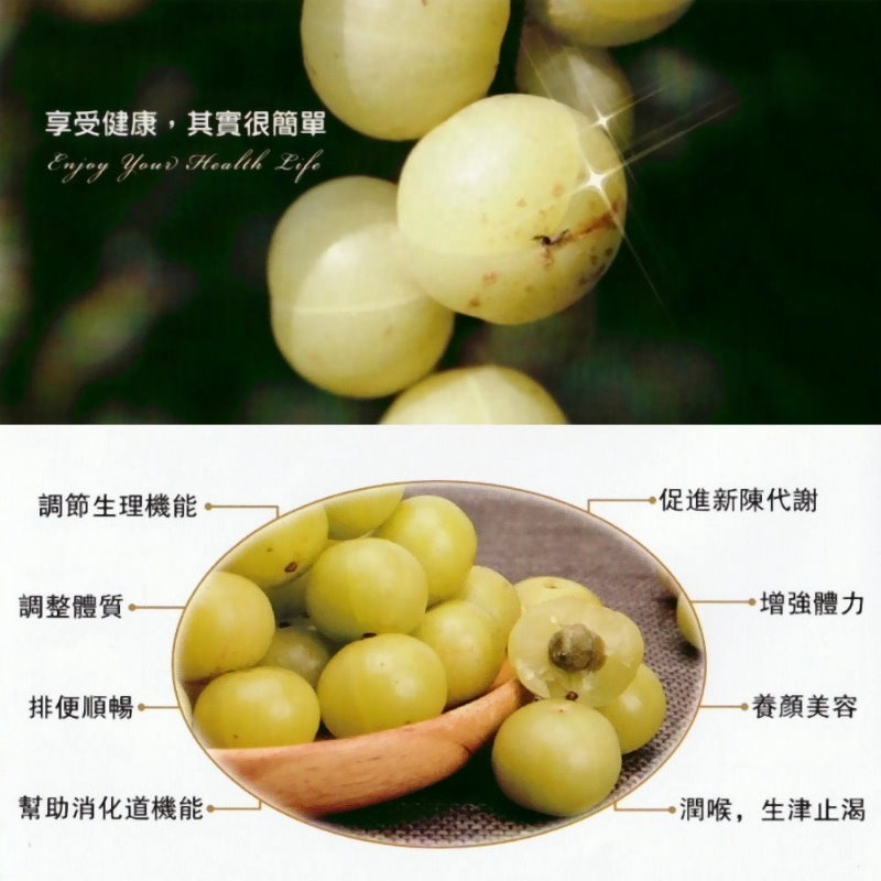 【0819shop】公司授權網路販售 油甘聖果100%原粉(100g/瓶)，多件特價↘可混搭~-細節圖4