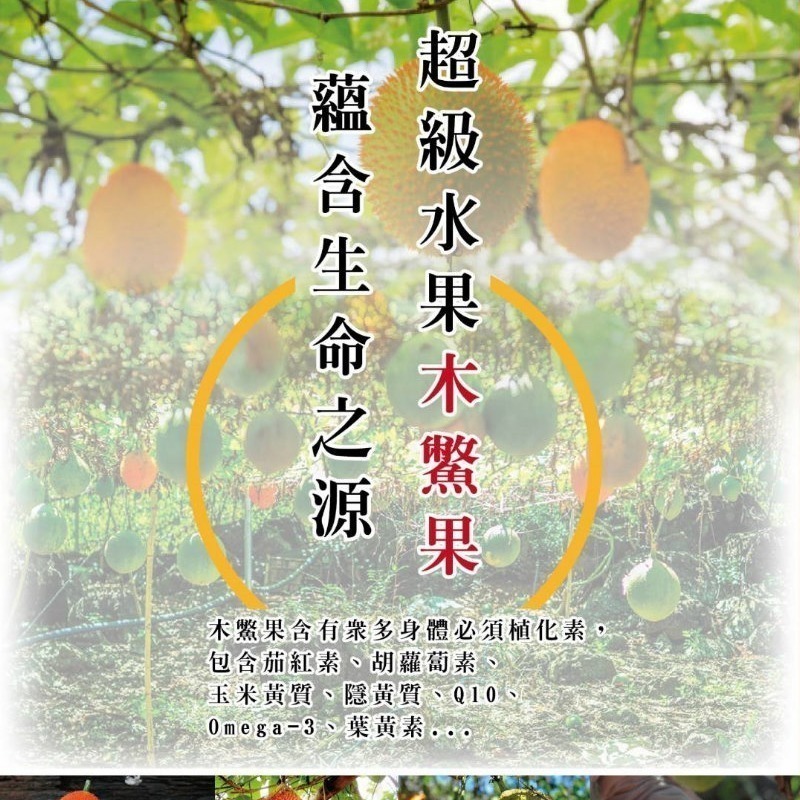 明亮寶 木鱉果晶亮咀嚼錠(500毫克x90粒)/瓶，多件特價↘-細節圖2