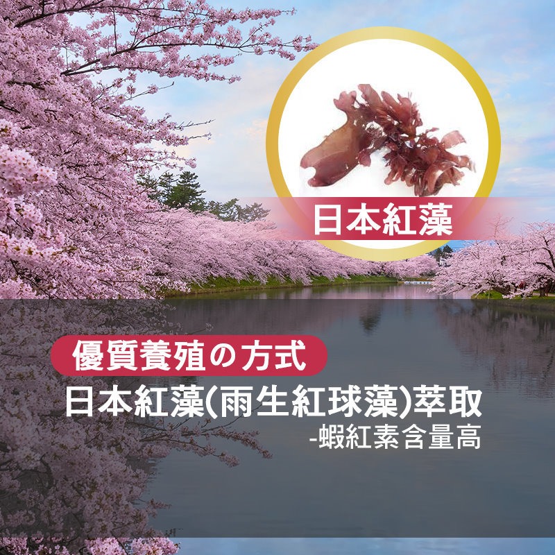 亦峯 紅藻蝦紅素葉黃素膠囊(550mg/粒x30粒)/盒，多件特價↘-細節圖3