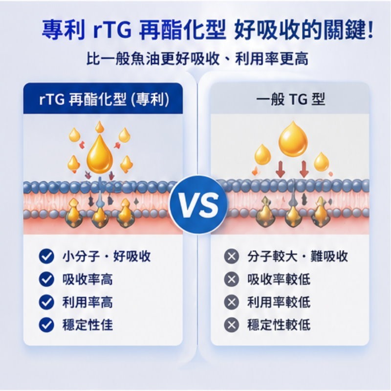德國KD藥廠rTG高濃縮專利魚油(700毫克x60粒/瓶)，多件特價↘-細節圖4