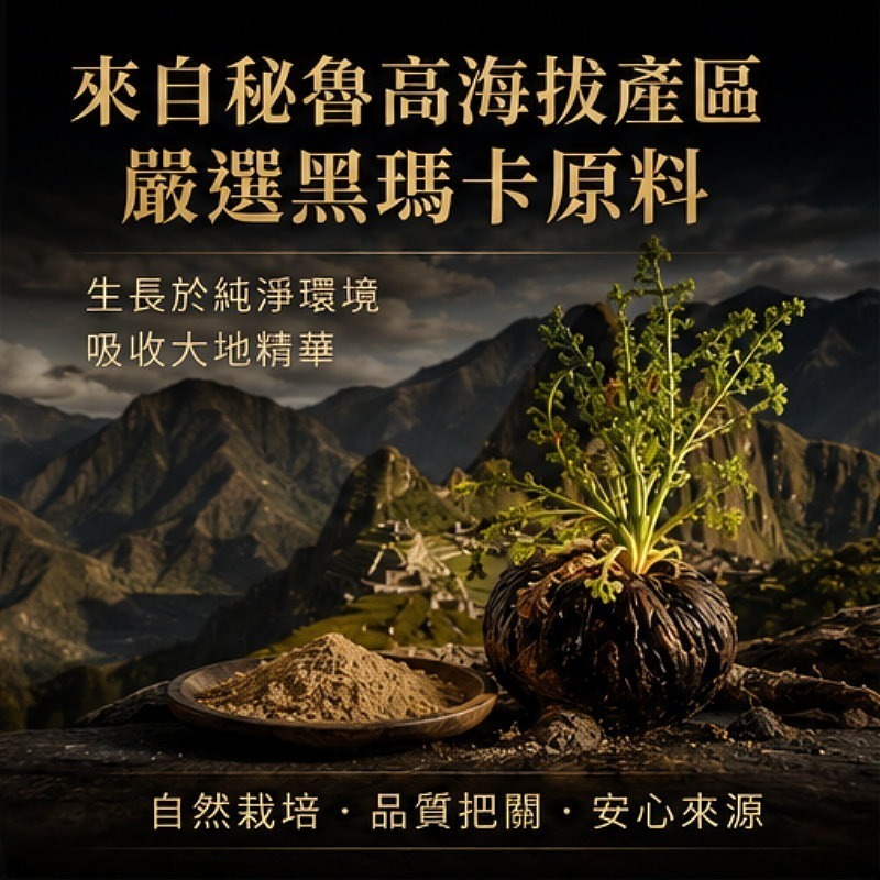 祕魯100%黃金黑瑪卡粉(100公克)/瓶，多件特價↘-細節圖3