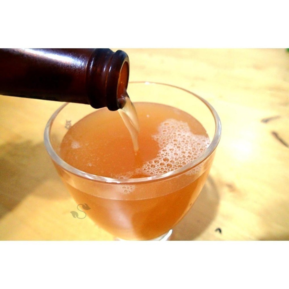 東南 DB黑麥原粹飲(330mlx24瓶/箱/免運)~100%原汁 純麥芽釀造 無焦糖色素 無添加糖-細節圖5