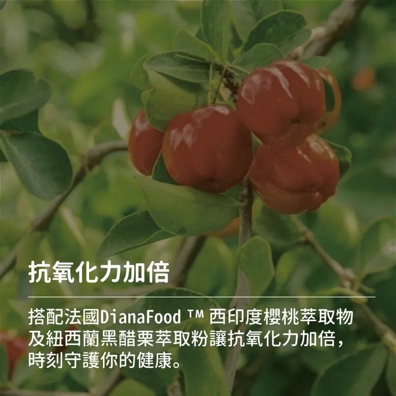 《素天堂》複方維他命C500(60顆/瓶)-細節圖3