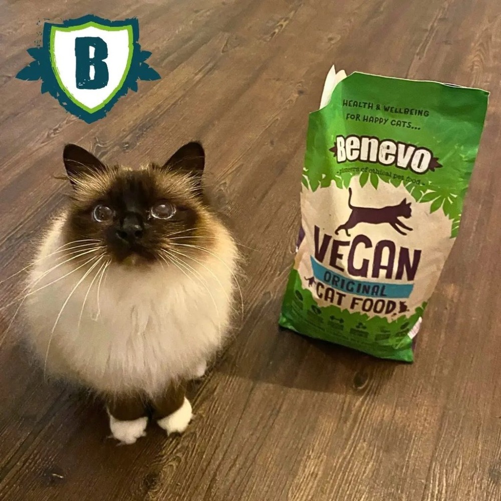 《Benevo 班尼佛》純素低敏成貓飼料(2KG/袋)~英國素食認證 含植物牛磺酸-細節圖5