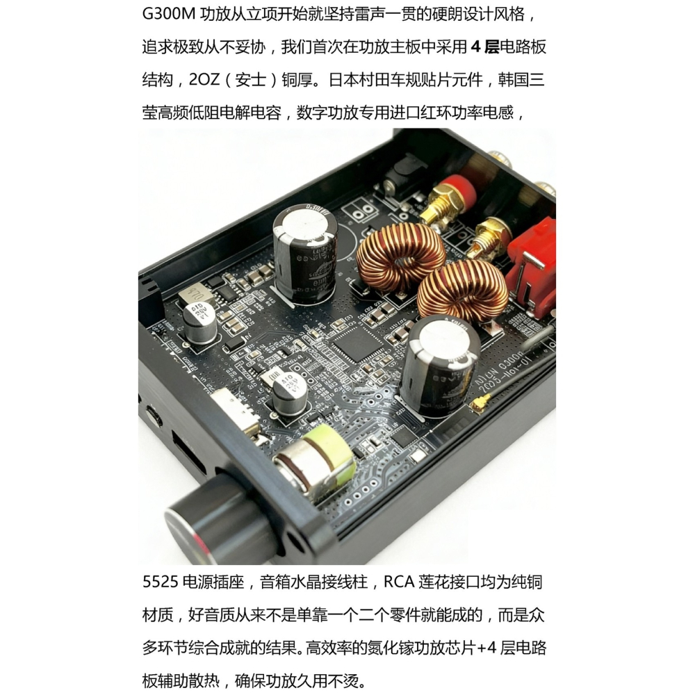 洛克小舖-單聲道音樂播放擴大機藍芽（USB隨身碟播放，藍芽輸入，RCA訊號輸入，單聲道300瓦輸出-細節圖3