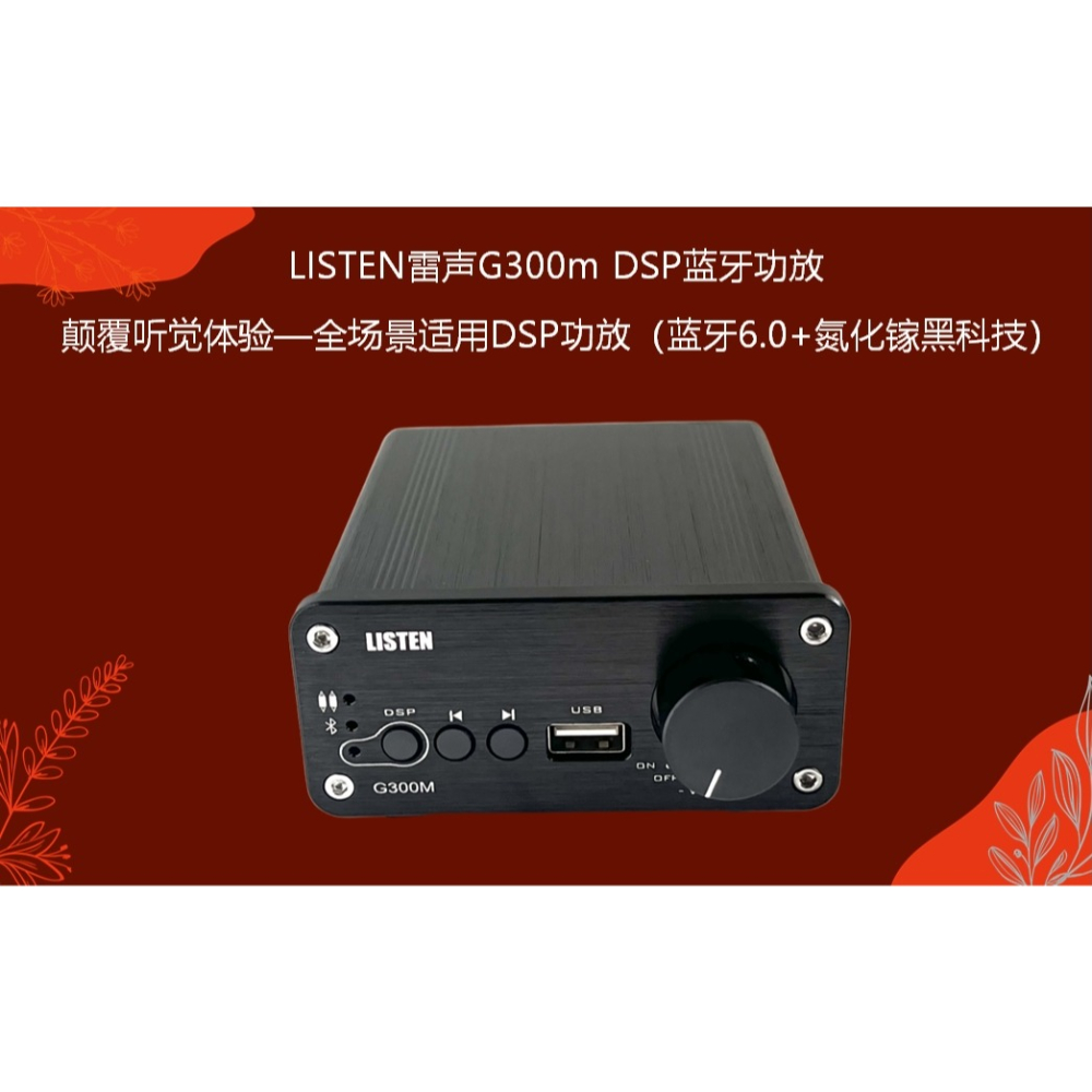 洛克小舖-單聲道音樂播放擴大機藍芽（USB隨身碟播放，藍芽輸入，RCA訊號輸入，單聲道300瓦輸出-細節圖4