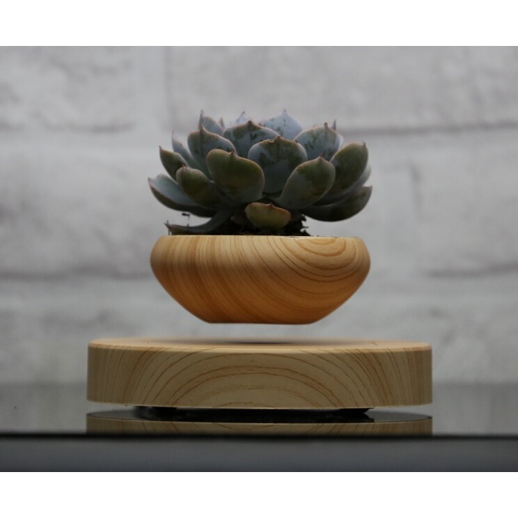 招財 磁浮盆栽 磁懸浮盆栽植物 創意家居 擺飾-細節圖6