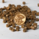 八角火漆顆粒蠟 火漆蠟粒 交換禮物 蠟粒 禮物 復古文創 火漆蠟 封蠟-規格圖3